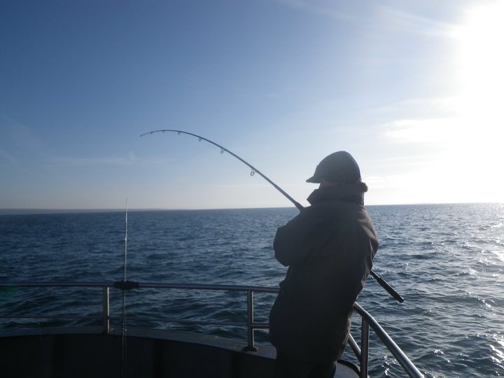 sea fishing galway